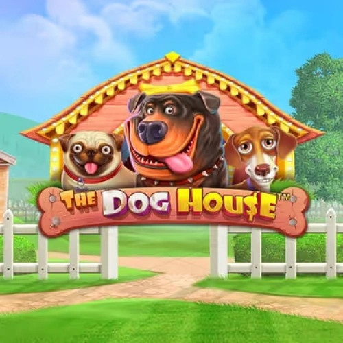 El juego The Dog House está disponible en la plataforma del casino Betsson.